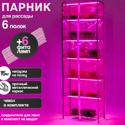 ������ ������ ������� ��� ������� ������������� ������ ������ 6 ����� � ������ + 6 �������� ����