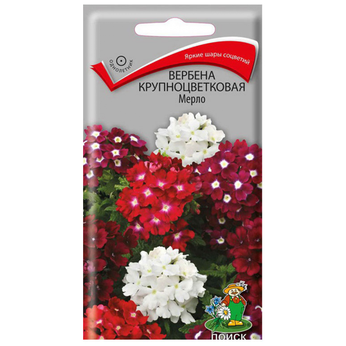 ������ ������ ������ ������� ��������������� ����� ����� ����