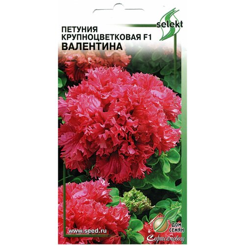 ������ ������ ������� ��������������� �������� F1 ���������, 10 ����� ����