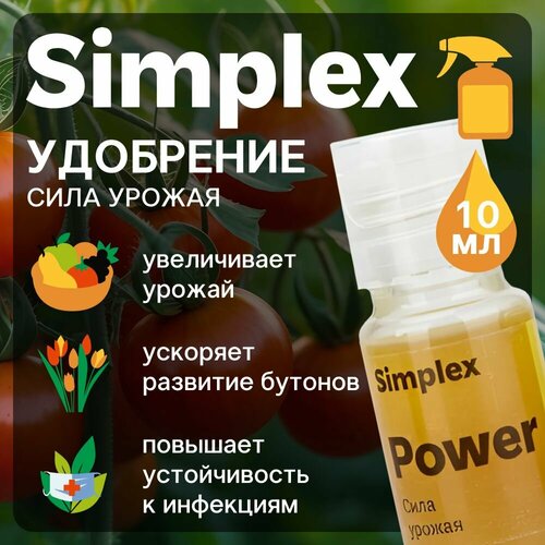 ������ ������ ���������� Simplex Power 10 ��. ����