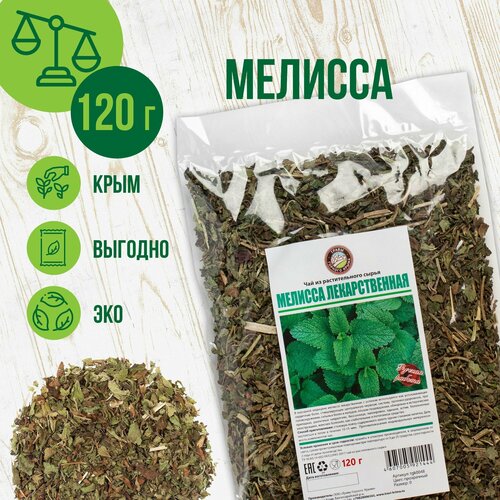 ������ ������ ������� �������, 120� ����