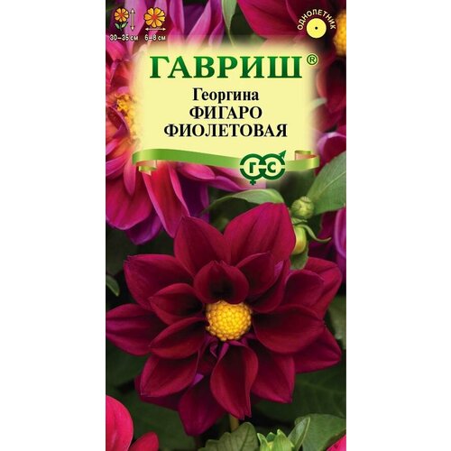 ������ ������ ������ �������� ������ ���������� 7�� ��� ��������. 30�� (������) ����