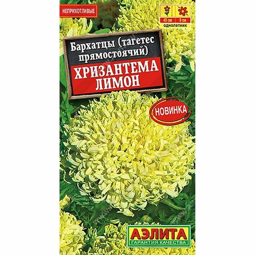 ������ ������ ������ �������� ���������� ����� ����, ����������, (������) 0,1� ����