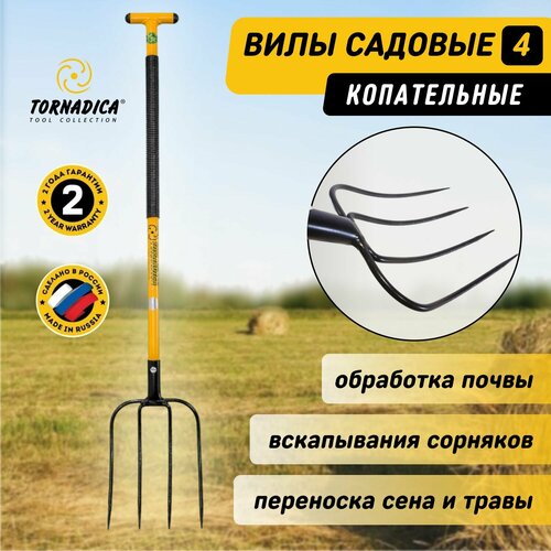 ������ ������ ���� ������� ������������ 4 ���� ��������� (�������), ���� ��������� ����