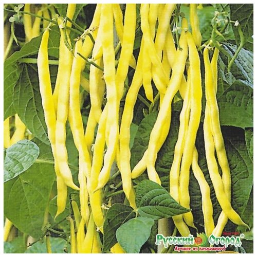 ������ ������ ������. ������ �������� 