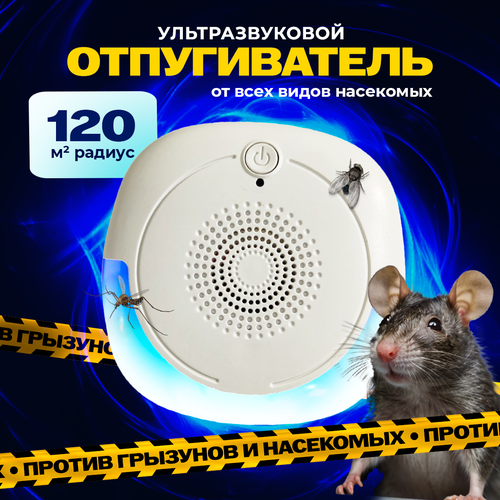 ������ ������ ������������ �����, �������, ����, ��������� ��������� �������������� ����