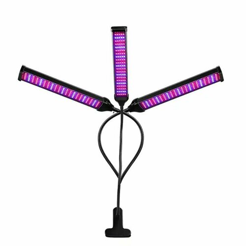 ������ ������ ��������� ��� ��������, ��� �������, ������, ������, ������, �������������� � 3 ������� ����