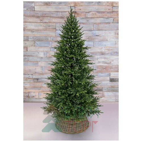 ������ ������ Triumph tree ��� ����������� �������� ����� 215 �� �������. ����