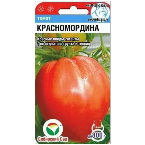 ������ ������ ������ ����� �������������, 20 ����� + 2 ������� ����