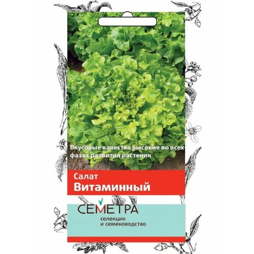 ������ ������ ����� 