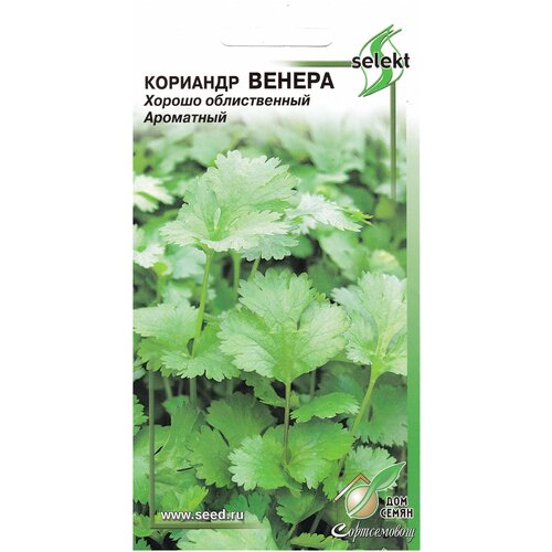 ������ ������ �������� ������, 115 ����� ����