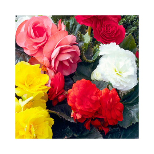 ������ ������ ������ ������� ��������� ����������� ������� (15 ��.) ����