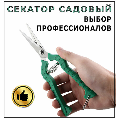 ������ ������ ������� � ������� ��������, ������� ������� ��� ��������, ����� � ����� ����