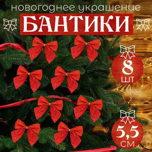 ������ ������ ����� �� ���� ������� 8�� 5,5�� ����