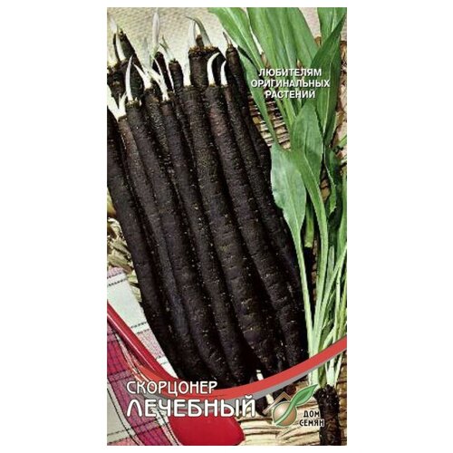 ������ ������ ��������� ��������, 28 ����� ����