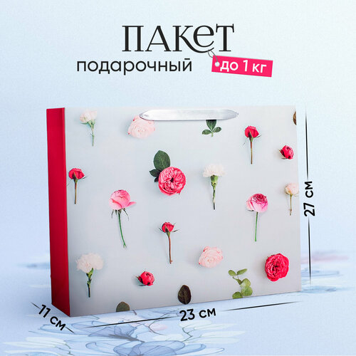 ������ ������ ����� ���������� �������������� ��� ���������, 23 ? 27 ? 11 �� ����