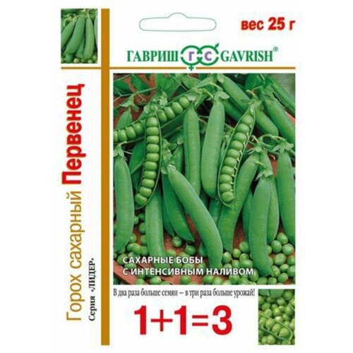 ������ ������ ������ ����� �������� �������� 25� ������ (������) 1+1 ����