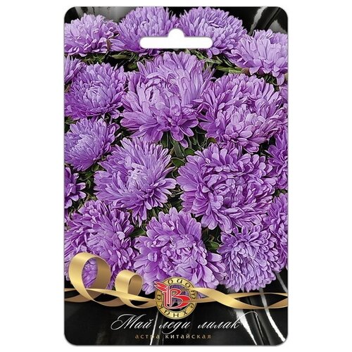 ������ ������ ����� ��� ���� ����� ����