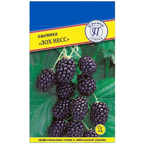 ������ ������ ������ ������� ��� ���� (��� �����), 1 ��������, 10 ����� ����