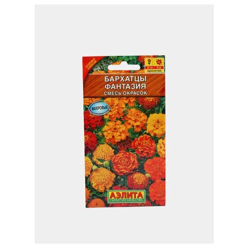 ������ ������ ������. �������� ����������� 