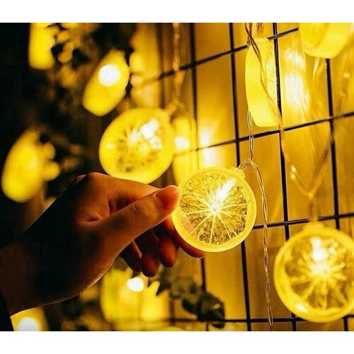 ������ ������ �������� ������� ������ ����