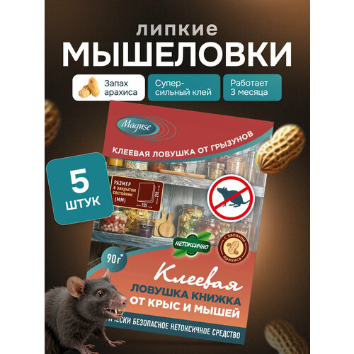 ������ ������ ������� ��� ����� � ���� Maguse, ������� ������� ������ �� ���� � ����� BASE, 5 �� ����