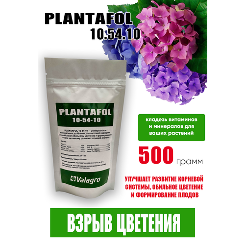 ������ ������ ��������� ��������� 10.54.10, 500 �� ����