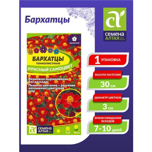 ������ ������ ������ �������� ������� �������� ������������ ���������� 0,1 ��. ����