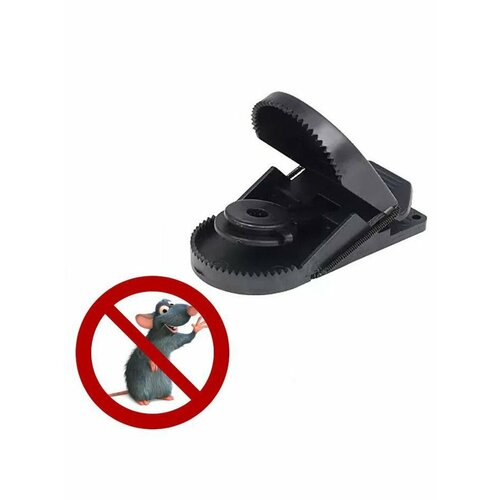 ������ ������ ��������� ������������� 