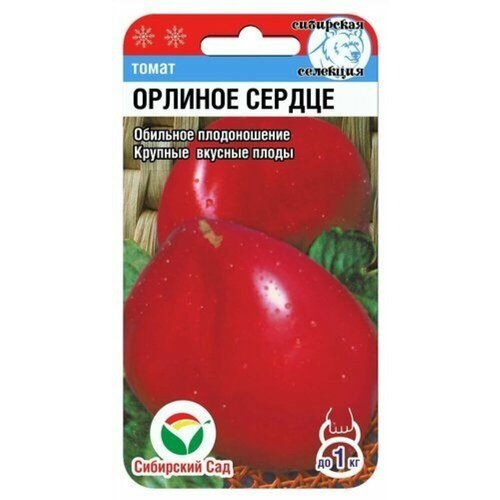 ������ ������ ������ ����� ������� ������ 20�� ��� (��������� ���) ����