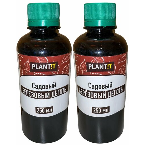 ������ ������ ������ ��������� �� ���, ������, ��� 