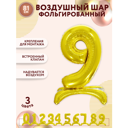 ������ ������ ��������� ���� ����� 9 / ��� ����� 9 / ��� �������������� / ����� ������ / ����� �� ��������� / 81�� ������ ����