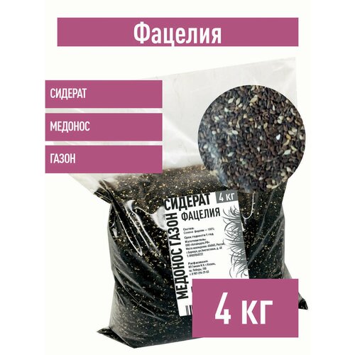 ������ ������ ������� ������, 4 �� ������� ������� ����� ����