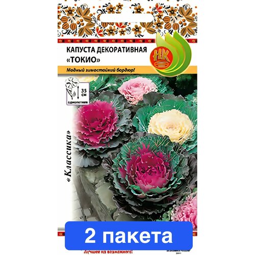 ������ ������ ����� ������� ������������ ����� 2 ������ ����