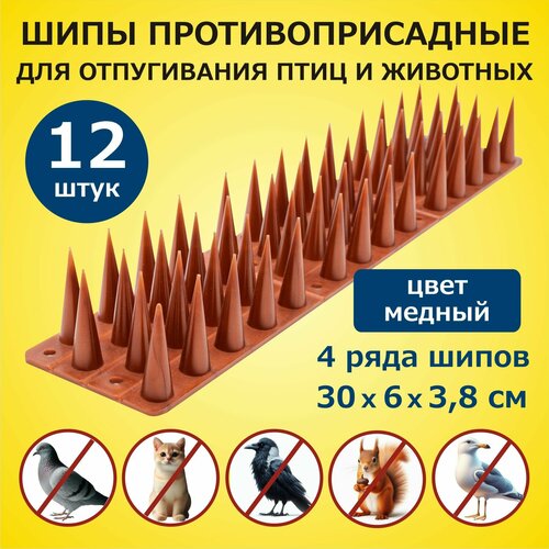 ������ ������ ���� ���������������� ��� ������ �� ���� � �������� 300�60�38 �� �������� 12 ������, �������, ��� ������ ����