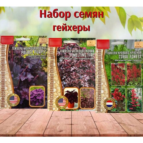 ������ ������ ������ ������ ��� ���� �������, ����� 3 �������� ����