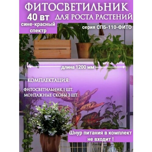 ������ ������ �������������� ������������ ���-110-���� ����-������� ������ 40�� 1200�� IN HOME ����