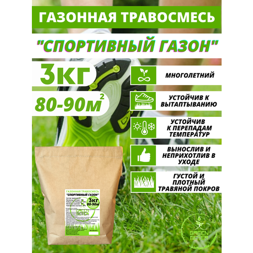 ������ ������ ������ �������� �����, ����� �������� 3 �� ����