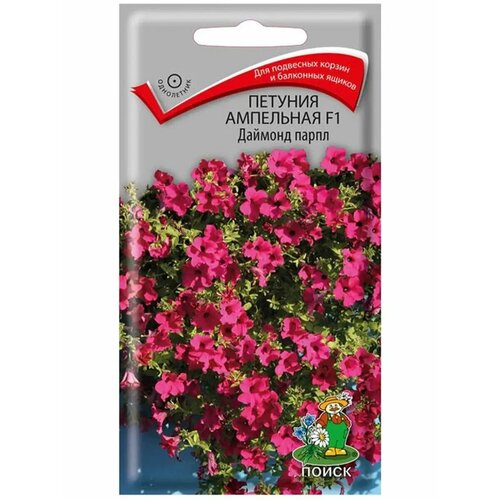 ������ ������ ������ ������� ����� ��������� ������� ����� F1 5 �� ����