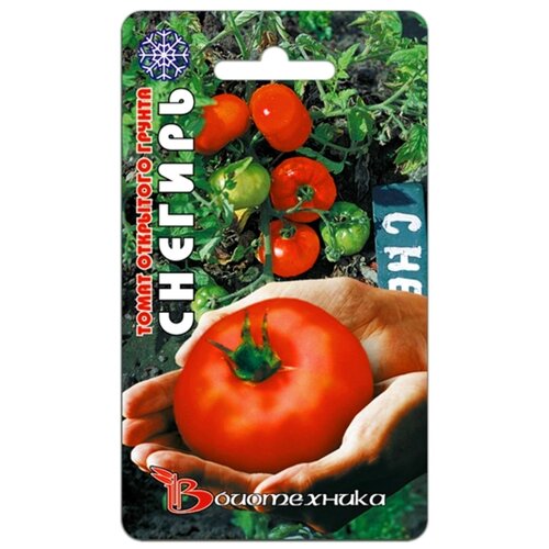 ������ ������ ������ ����� ������� (25���) ����