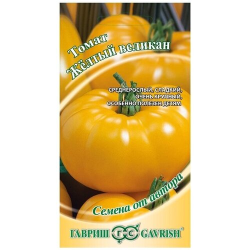 ������ ������ ������ ����� ������ ������� ������ ����