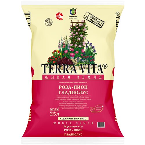 ������ ������ ����� ����� ����-����-��������� 25 � ����