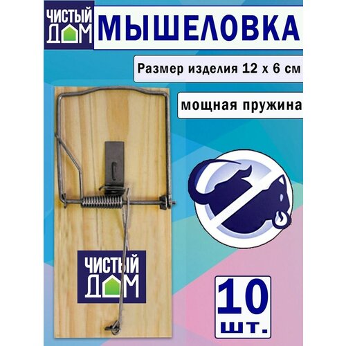 ������ ������ ��������� �� ���������� ������, 10 ���� ����