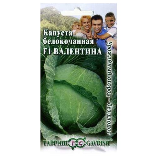 ������ ������ ������ ������ ������� ������������ ��������� F1 0.1 �, 10 ��. ����