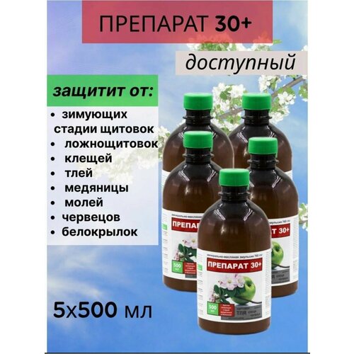 ������ ������ �������� ������ �������� 30 ���� 2.5 � ����