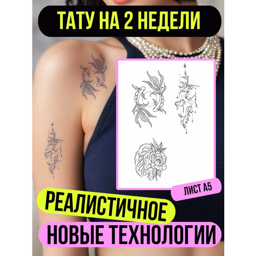 ������ ������ ���� ���������� �������������� �������� ����