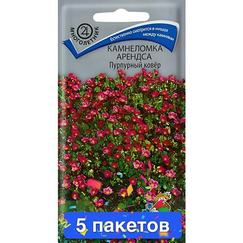 ������ ������ ����� ���������� ������� ��������� ����� 5 ������� ����