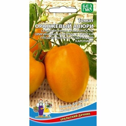 ������ ������ ������ ����� ��������� ����� (�����������) 20�� ����