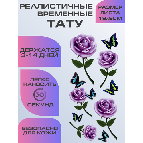 ������ ������ ���� ���������� ��������������, ��������� ���� ���� ����