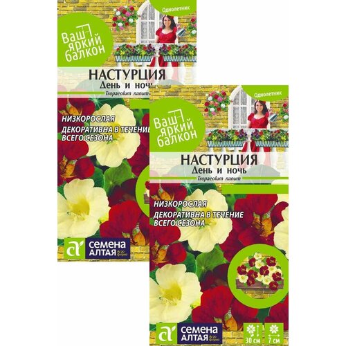 ������ ������ ��������� ���� � ���� ����������� (0,5 �), 2 ������ ����